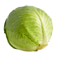 Organic Green Cabbage