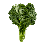Kale1 bunch