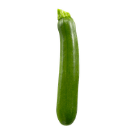 Zucchini