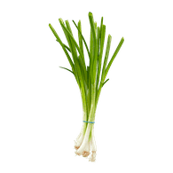 Green Onion 1 bunch