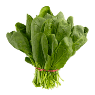 /upload/1673463542-20162840001_front_a01.png