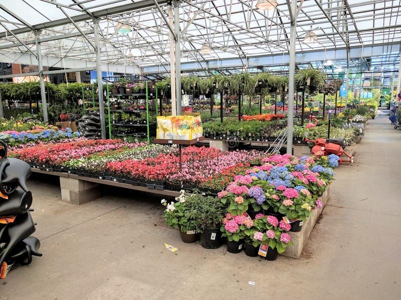 1684345827-garden-department-home-improvement-store-flowers-inside-68849841.jpg
